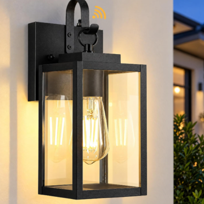Dusk to Dawn Outdoor Wall Light, Clear Glass, All-Metal Frame