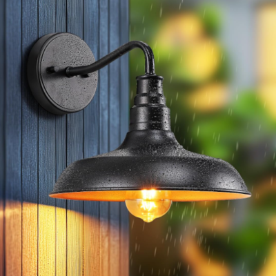 Gooseneck Outdoor Wall Light, Farmhouse Style, Porch Light, 2 Pack